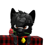 @x_kyno