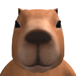 @planky777