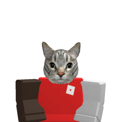 Roblox avatar