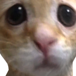 @heyitzfreyaf