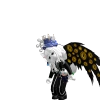 kotakosa2
