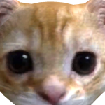 @0nw8