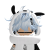 NONNsense