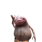@Txchnxqux