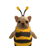 @iitsMxddiie