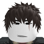 @ThECrazyBlox143