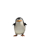 @poodied0g