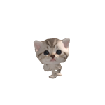 @lucaslaulaus