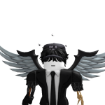 @damr_roblox