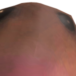@Pasghetti_Meatbulbs