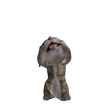 @Climer121
