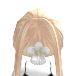 @jailbreak_123117