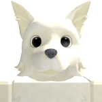 @Iicasol