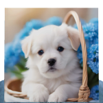 @Cloudy_alt007