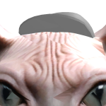 @2b_known