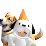 @pupsharu