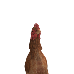 @xdem13x
