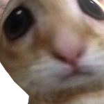 @dorito62626