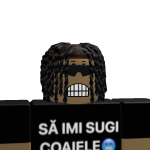 @Rblx_Arogantul