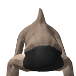 @jhjsuc