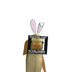 @BannanaBear365
