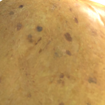 @Mqrlois