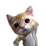 @danawd3ani