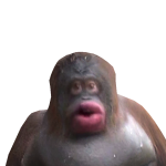 @chrismaseve2957