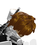 @ILOVE_RUBLOX