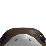 @cbuott1