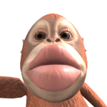 LincNova