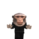 Kentrocky7