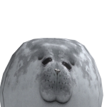 @CoolDoggy10