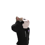 @snappersonics