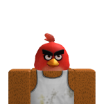 @burdwrd
