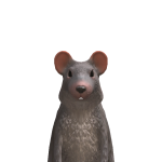 @D3V0T1ONN