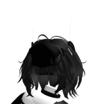 @T1XLR