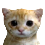 @CPUdragonheart