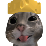 @Gatita_Miau2016