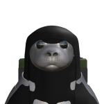 @AUSSIEGAMEROFC