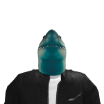 @kiwisboy33217