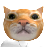 @packwoolf2021