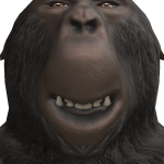 @MatheusBrrTv