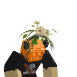 @Rusticoocoo