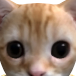@SyncStudio45