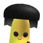 @Co3din