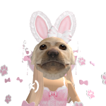 @xxGingerWolf124