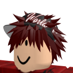@frankli000222