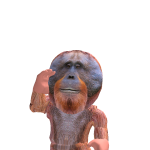 @chipey6464