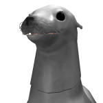 @ScreamingFish246